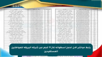 رابط مباشر الآن لحجز أسطوانة غاز 11 كجم عبر شركة البريقة للمواطنين المستفيدين